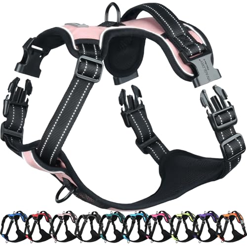 VIVAGLORY Easefit Hundegeschirr, Zugstopp Hundegeschirr Geschirr Hund Mit Griff, Anti Zieh Geschirr Für Hunde Training & Spazieren, Gepolstert & No-Pull Ausbruchsicher für Hunde, S, Sakura-Rosa von VIVAGLORY