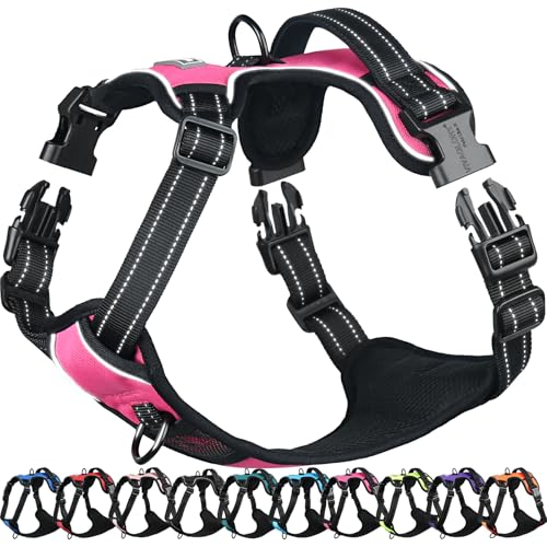 VIVAGLORY Easefit Hundegeschirr, Zugstopp Hundegeschirr Geschirr Hund Mit Griff, Anti Zieh Geschirr Für Hunde Training & Spazieren, Gepolstert & No-Pull Ausbruchsicher für Hunde, L, Rosa von VIVAGLORY