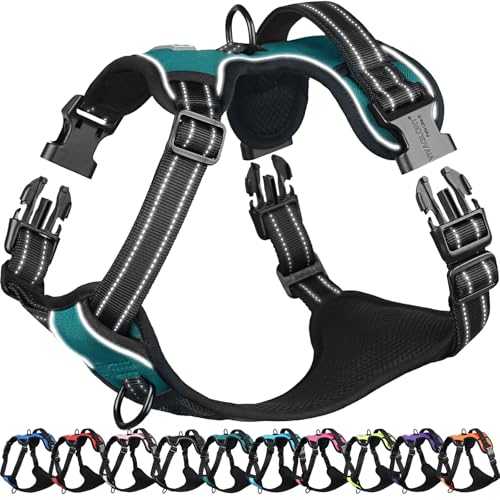 VIVAGLORY Easefit Hundegeschirr, Zugstopp Hundegeschirr Geschirr Hund Mit Griff, Anti Zieh Geschirr Für Hunde Training & Spazieren, Gepolstert & No-Pull Ausbruchsicher für Hunde, XS, Pfauengrün von VIVAGLORY