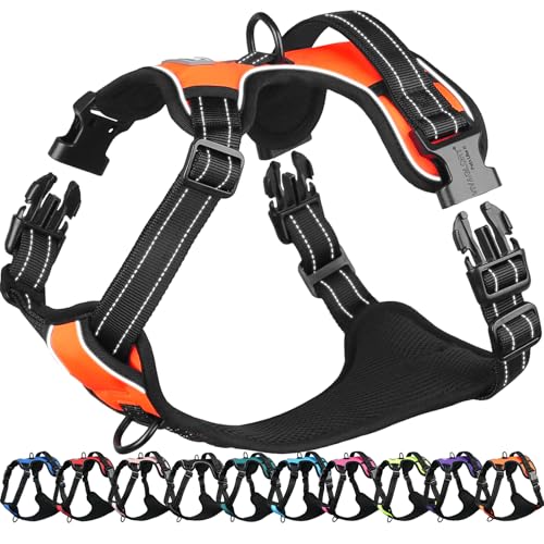 VIVAGLORY Easefit Hundegeschirr, Zugstopp Hundegeschirr Geschirr Hund Mit Griff, Anti Zieh Geschirr Für Hunde Training & Spazieren, Gepolstert & No-Pull Ausbruchsicher für Hunde, XS, Orange von VIVAGLORY