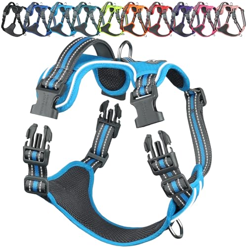 VIVAGLORY Easewalk Hundegeschirr Geschirr Hund für Aktivitäten Training Spazierengehen, Anti Zug Ausbruchsicher Reflektierend Atmungsaktiv Weich Erstickungsfreie Strapazierfähigem Griff, XL, Blau VIVAGLORY Easewalk Hundegeschirr Geschirr Hund für Aktivitäten Training Spazierengehen, Anti Zug Ausbruchsicher Reflektierend Atmungsaktiv Weich Erstickungsfreie Strapazierfähigem Griff, XL, Blau von VIVAGLORY
