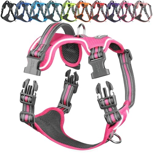 VIVAGLORY Easewalk Hundegeschirr Geschirr Welpe für Aktivitäten Training Spazierengehen, Anti Zug Ausbruchsicher Reflektierend Atmungsaktiv Weich erstickungsfreie Strapazierfähigem Griff, XS, Rosa von VIVAGLORY