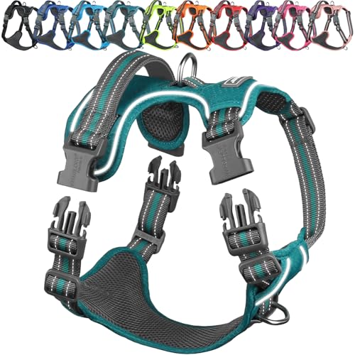 VIVAGLORY Easewalk Hundegeschirr Geschirr Welpe für Aktivitäten Training Spazierengehen, Anti Zug Ausbruchsicher Reflektierend Atmungsaktiv erstickungsfreie Strapazierfähigem Griff, XS, Pfauengrün von VIVAGLORY