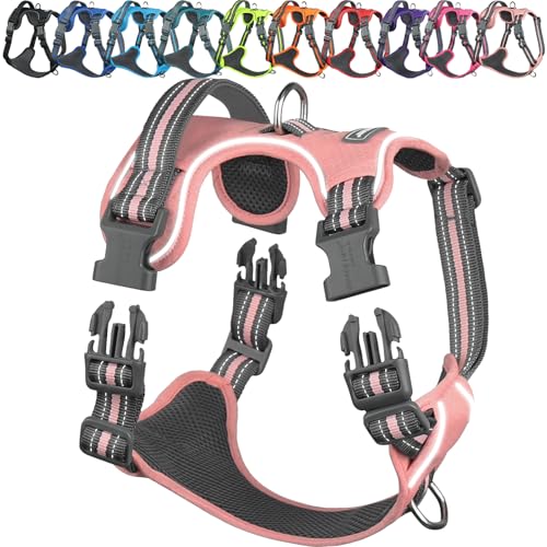 VIVAGLORY Easewalk Hundegeschirr Geschirr Welpe für Aktivitäten Training Spazierengehen, Anti Zug Ausbruchsicher Reflektierend Atmungsaktiv erstickungsfreie Strapazierfähigem Griff, XS, Sakura-Rosa von VIVAGLORY