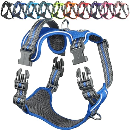 VIVAGLORY Easewalk Hundegeschirr Welpengeschirr für Aktivitäten Training Spazierengehen, Anti Zug Ausbruchsicher Reflektierend Atmungsaktiv Erstickungsfreie Strapazierfähigem Griff, XS, Königsblau VIVAGLORY Easewalk Hundegeschirr Welpengeschirr für Aktivitäten Training Spazierengehen, Anti Zug Ausbruchsicher Reflektierend Atmungsaktiv Erstickungsfreie Strapazierfähigem Griff, XS, Königsblau von VIVAGLORY