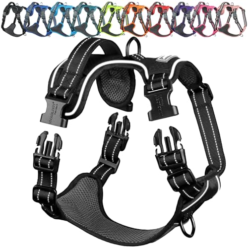 VIVAGLORY Easewalk Hundegeschirr Welpengeschirr für Aktivitäten Training Spazierengehen, Anti Zug Ausbruchsicher Reflektierend Atmungsaktiv Weich Erstickungsfreie Strapazierfähigem Griff, XS, Schwarz von VIVAGLORY