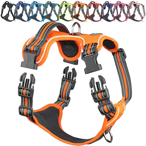 VIVAGLORY Easewalk Hundegeschirr Welpengeschirr für Aktivitäten Training Spazierengehen, Anti Zug Ausbruchsicher Reflektierend Atmungsaktiv Weich Erstickungsfreie Strapazierfähigem Griff, XS, Orange VIVAGLORY Easewalk Hundegeschirr Welpengeschirr für Aktivitäten Training Spazierengehen, Anti Zug Ausbruchsicher Reflektierend Atmungsaktiv Weich Erstickungsfreie Strapazierfähigem Griff, XS, Orange von VIVAGLORY