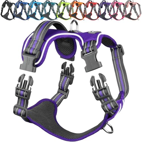VIVAGLORY Easewalk Hundegeschirr Welpengeschirr für Aktivitäten Training Spazierengehen, Anti Zug Ausbruchsicher Reflektierend Atmungsaktiv Weich Erstickungsfreie Strapazierfähigem Griff, XS, Lila von VIVAGLORY