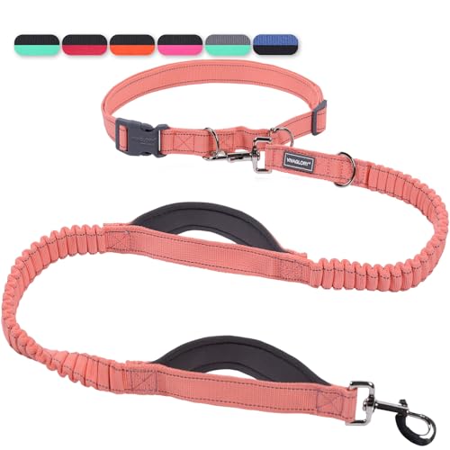 VIVAGLORY Freihändige Hundeleine mit Doppelter Anti-Schock Bungees und Gepolsterten Griffen, Reflektierende Taille Laufleine zum Training Joggen für Hunde, Pink-Grau, Passt zur Taille 65-112CM VIVAGLORY Freihändige Hundeleine mit Doppelter Anti-Schock Bungees und Gepolsterten Griffen, Reflektierende Taille Laufleine zum Training Joggen für Hunde, Pink-Grau, Passt zur Taille 65-112CM von VIVAGLORY