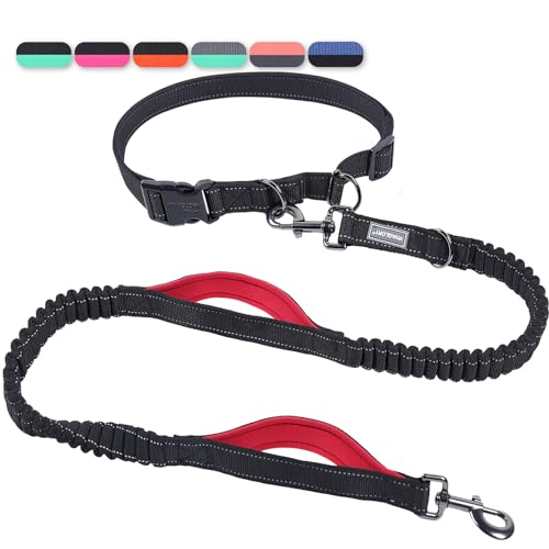 VIVAGLORY Freihändige Hundeleine mit Doppelter Anti-Schock Bungees und Gepolsterten Griffen, Reflektierende Taille Laufleine zum Training Joggen für Mittlere Große Hunde, Schwarz/Rot VIVAGLORY Freihändige Hundeleine mit Doppelter Anti-Schock Bungees und Gepolsterten Griffen, Reflektierende Taille Laufleine zum Training Joggen für Mittlere Große Hunde, Schwarz/Rot von VIVAGLORY