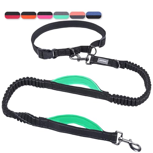 VIVAGLORY Freihändige Hundeleine mit Doppelter Anti-Schock Bungees und Gepolsterten Griffen, Reflektierende Taille Laufleine zum Training Joggen für Mittlere Große Hunde, Schwarz/Türkis VIVAGLORY Freihändige Hundeleine mit Doppelter Anti-Schock Bungees und Gepolsterten Griffen, Reflektierende Taille Laufleine zum Training Joggen für Mittlere Große Hunde, Schwarz/Türkis von VIVAGLORY