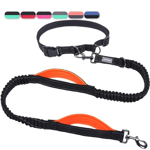 VIVAGLORY Freihändige Hundeleine mit Doppelter Anti-Schock Bungees und Gepolsterten Griffen für Mittlere Große Hunde, Reflektierende Taille Laufleine zum Training Joggen, Schwarz/Orange VIVAGLORY Freihändige Hundeleine mit Doppelter Anti-Schock Bungees und Gepolsterten Griffen für Mittlere Große Hunde, Reflektierende Taille Laufleine zum Training Joggen, Schwarz/Orange von VIVAGLORY