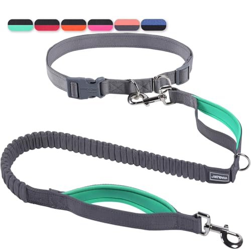 VIVAGLORY Freihandleinen für Hunde, Joggingleine Bungeeleine Freihändige Hundeleine für Mittlere und Große, Reflektierende Hunde Taillenleine zum Spazierengehen, Grau/Türkis VIVAGLORY Freihandleinen für Hunde, Joggingleine Bungeeleine Freihändige Hundeleine für Mittlere und Große, Reflektierende Hunde Taillenleine zum Spazierengehen, Grau/Türkis von VIVAGLORY