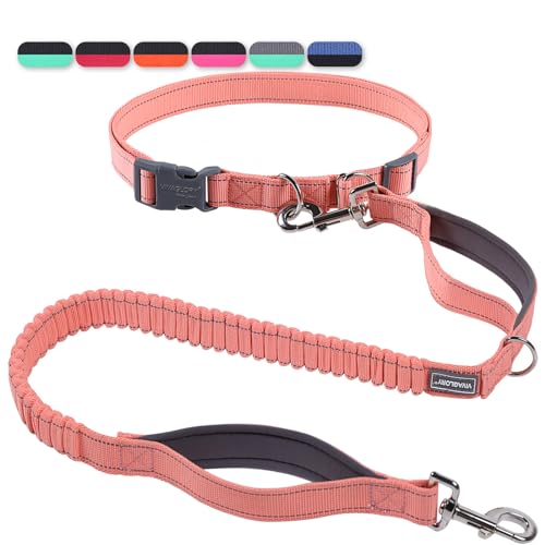 VIVAGLORY Freihandleinen für Hunde, Joggingleine Bungeeleine Freihändige Hundeleine für Mittlere und Große, Reflektierende Hunde Taillenleine zum Spazierengehen, Rosa/Grau VIVAGLORY Freihandleinen für Hunde, Joggingleine Bungeeleine Freihändige Hundeleine für Mittlere und Große, Reflektierende Hunde Taillenleine zum Spazierengehen, Rosa/Grau von VIVAGLORY