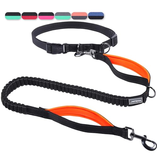 VIVAGLORY Freihandleinen für Hunde, Joggingleine Bungeeleine Freihändige Hundeleine für Mittlere und Große, Reflektierende Hunde Taillenleine zum Spazierengehen, Schwarz/Orange VIVAGLORY Freihandleinen für Hunde, Joggingleine Bungeeleine Freihändige Hundeleine für Mittlere und Große, Reflektierende Hunde Taillenleine zum Spazierengehen, Schwarz/Orange von VIVAGLORY