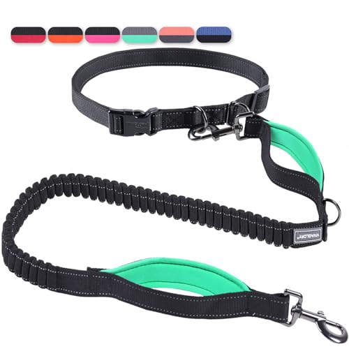 VIVAGLORY Freihandleinen für Hunde, Joggingleine Bungeeleine Freihändige Hundeleine für Mittlere und Große, Reflektierende Hunde Taillenleine zum Spazierengehen, Schwarz/Türkis VIVAGLORY Freihandleinen für Hunde, Joggingleine Bungeeleine Freihändige Hundeleine für Mittlere und Große, Reflektierende Hunde Taillenleine zum Spazierengehen, Schwarz/Türkis von VIVAGLORY