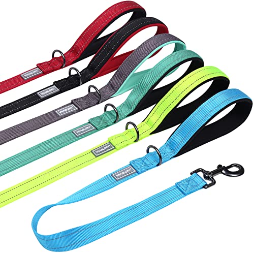 VIVAGLORY Hundeleine Kurz, Kurze Trainingsleine für Mittelgroße und Große Hunde, Kurze Verkehrsleine für Hunde, 61cm Länge 2,5cm Breite, Seeblau VIVAGLORY Hundeleine Kurz, Kurze Trainingsleine für Mittelgroße und Große Hunde, Kurze Verkehrsleine für Hunde, 61cm Länge 2,5cm Breite, Seeblau von VIVAGLORY
