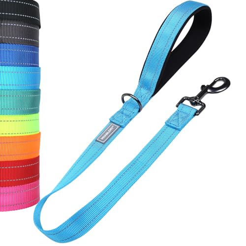 VIVAGLORY Hundeleine Kurz Closelyt Kurzführer Hund, Hundeleine Leine mit Gepolstertem Griff & Schlaufe für Joggingleine Hausleine, Kurzführer & Kurzleine für Hunde, 61cm, Seeblau von VIVAGLORY