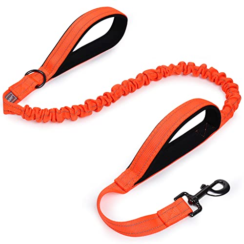 VIVAGLORY Bungee Leine Hund Hundeleine Große Hunde Line Hund Große Hunde Jogging Leine für Hund Hundeleine Elastisch, Verstellbare Längen (122-168CM), Orange von VIVAGLORY