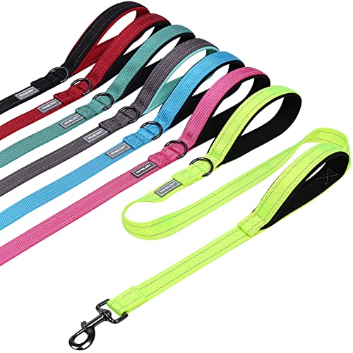 VIVAGLORY Hundeleine mit Zwei Griffen, für Training und Spazierengehen, mit Griff für den Verkehr, Hundeleine mit Griffen, reflektierende Sicherheit, Bequeme Hund Leine, 1.2 m x 2.5 cm, Helles Gelb VIVAGLORY Hundeleine mit Zwei Griffen, für Training und Spazierengehen, mit Griff für den Verkehr, Hundeleine mit Griffen, reflektierende Sicherheit, Bequeme Hund Leine, 1.2 m x 2.5 cm, Helles Gelb von VIVAGLORY