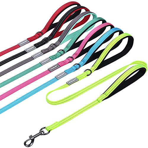 VIVAGLORY Hundeleine mit Zwei Griffen, für Training und Spazierengehen, mit Griff für den Verkehr, Hundeleine mit Griffen, reflektierende Sicherheit, Bequeme Hund Leine, 1.8 m x 1.4 cm, Helles Gelb VIVAGLORY Hundeleine mit Zwei Griffen, für Training und Spazierengehen, mit Griff für den Verkehr, Hundeleine mit Griffen, reflektierende Sicherheit, Bequeme Hund Leine, 1.8 m x 1.4 cm, Helles Gelb von VIVAGLORY