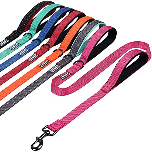VIVAGLORY Hundeleine mit Zwei Griffen, für Training und Spazierengehen, mit Griff für den Verkehr, doppelte Hundeleine mit Griffen, reflektierende Sicherheit, Bequeme Hund Leine, 1.2 m x 2.5 cm, Rosa VIVAGLORY Hundeleine mit Zwei Griffen, für Training und Spazierengehen, mit Griff für den Verkehr, doppelte Hundeleine mit Griffen, reflektierende Sicherheit, Bequeme Hund Leine, 1.2 m x 2.5 cm, Rosa von VIVAGLORY