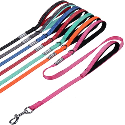 VIVAGLORY Hundeleine mit Zwei Griffen, für Training und Spazierengehen, mit Griff für den Verkehr, doppelte Hundeleine mit Griffen, reflektierende Sicherheit, Bequeme Hund Leine, 1.5 m x 1.4 cm, Rosa VIVAGLORY Hundeleine mit Zwei Griffen, für Training und Spazierengehen, mit Griff für den Verkehr, doppelte Hundeleine mit Griffen, reflektierende Sicherheit, Bequeme Hund Leine, 1.5 m x 1.4 cm, Rosa von VIVAGLORY