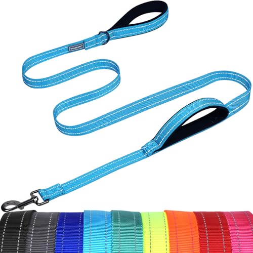 VIVAGLORY Twingrip Führleine Hund, Leine Hund Hausleine Joggingleine, Hundeleine mit 2 Griffen Doppelgriff, Gepolstert Neopren & Reflektierend, 1.2m x 2.5cm, Blauer See von VIVAGLORY