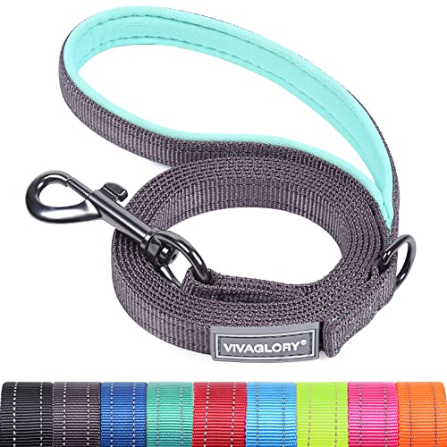 VIVAGLORY Dailyx Hundeleine, Welpenleine Hausleine Joggingleine Für Hunde, Hundeleine mit Schlaufe Und Gepolstertem Griff, Reflektierend & Gepolstert, 120 x 1.4cm, Grau von VIVAGLORY
