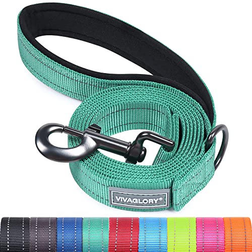 VIVAGLORY Dailyx Hundeleine, Welpenleine Hausleine Joggingleine Für Hunde, Hundeleine mit Schlaufe Und Gepolstertem Griff, Reflektierend & Gepolstert, 120 x 2.5cm, Grün von VIVAGLORY