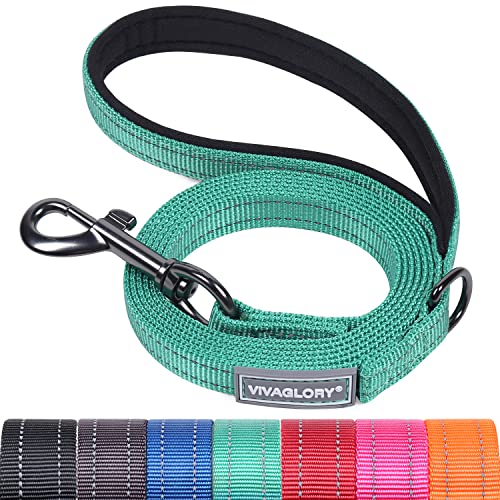 VIVAGLORY Dailyx Hundeleine, Welpenleine Hausleine Joggingleine Für Hunde, Hundeleine mit Schlaufe Und Gepolstertem Griff, Reflektierend & Gepolstert, 150 x 1.4cm, Grün von VIVAGLORY
