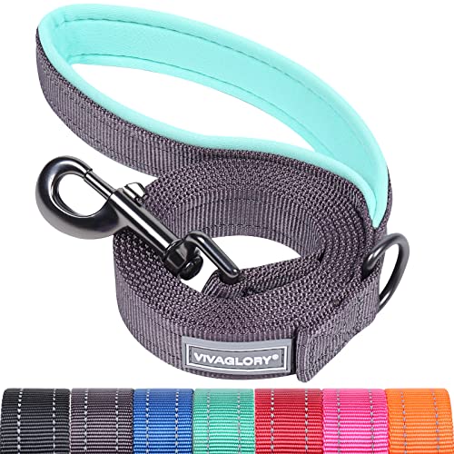 VIVAGLORY Hundeleine, Hundeleine für Spaziergänge mit Komfortabler Gepolsterter Griff, Reflektierend für Sicherheit, Schwerlast Trainingsleine für Mittlere bis Große Hunde VIVAGLORY Hundeleine, Hundeleine für Spaziergänge mit Komfortabler Gepolsterter Griff, Reflektierend für Sicherheit, Schwerlast Trainingsleine für Mittlere bis Große Hunde von VIVAGLORY