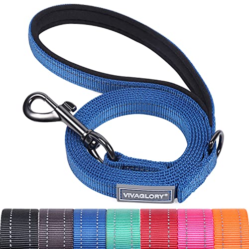 VIVAGLORY Hundeleine, Hundeleine für Spaziergänge mit Bequemer Neopren Gepolsterter Griff, Schwerlast Trainingsleine für Kleine bis Mittlere Hunde von VIVAGLORY