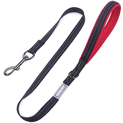 VIVAGLORY Hundeleine, Hundeleine für Spaziergänge mit Bequemer Neopren Gepolsterter Griff, Schwerlast Trainingsleine für Kleine bis Mittlere Hunde von VIVAGLORY