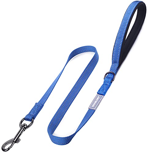 VIVAGLORY Dailyx Hundeleine, Welpenleine Hausleine Joggingleine Für Hunde, Hundeleine mit Schlaufe Und Gepolstertem Griff, Reflektierend & Gepolstert, 90 x 1.4cm, Blau von VIVAGLORY