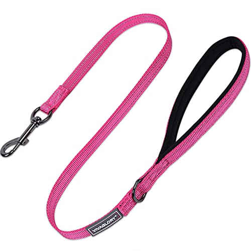 VIVAGLORY Hundeleine, Hundeleine für Spaziergänge mit Bequemer Neopren Gepolsterter Griff, Schwerlast Trainingsleine für Kleine bis Mittlere Hunde von VIVAGLORY