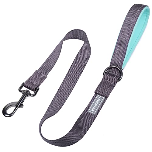 VIVAGLORY Dailyx Hundeleine, Welpenleine Hausleine Joggingleine Für Hunde, Hundeleine mit Schlaufe Und Gepolstertem Griff, Reflektierend & Gepolstert, 90 x 2.5cm, Grau von VIVAGLORY
