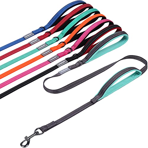 VIVAGLORY Hundeleine mit Zwei Griffen, für Training und Spazierengehen, mit Griff für den Verkehr, doppelte Hundeleine mit Griffen, reflektierende Sicherheit, Bequeme Hund Leine, 1.2 m x 1.4 cm, Grau VIVAGLORY Hundeleine mit Zwei Griffen, für Training und Spazierengehen, mit Griff für den Verkehr, doppelte Hundeleine mit Griffen, reflektierende Sicherheit, Bequeme Hund Leine, 1.2 m x 1.4 cm, Grau von VIVAGLORY