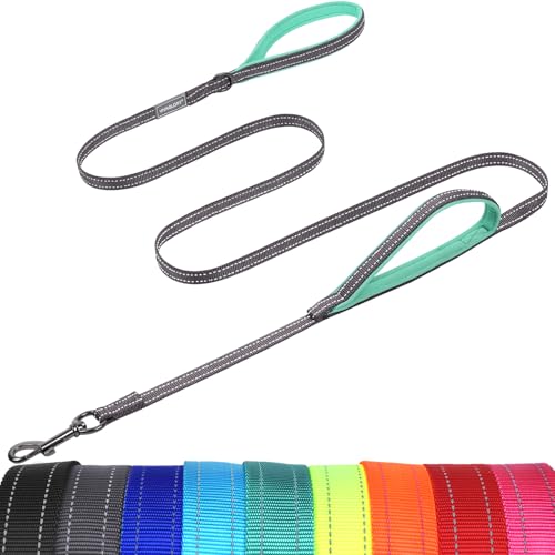 VIVAGLORY Twingrip Führleine Hund, Leine Hund Hausleine Joggingleine, Hundeleine mit 2 Griffen Doppelgriff, Gepolstert Neopren & Reflektierend, 1.2m x 1.4cm, Grau von VIVAGLORY