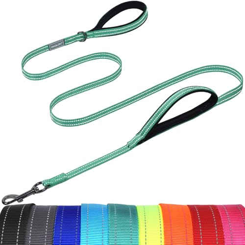 VIVAGLORY Twingrip Führleine Hund, Leine Hund Hausleine Joggingleine, Hundeleine mit 2 Griffen Doppelgriff, Gepolstert Neopren & Reflektierend, 1.5m x 1.4cm, Türkis von VIVAGLORY