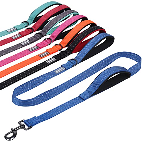 VIVAGLORY Hundeleine mit Zwei Griffen, für Training und Spazierengehen, mit Griff für den Verkehr, doppelte Hundeleine mit Griffen, reflektierende Sicherheit, Bequeme Hund Leine, 1.2 m x 2.5 cm, Blau VIVAGLORY Hundeleine mit Zwei Griffen, für Training und Spazierengehen, mit Griff für den Verkehr, doppelte Hundeleine mit Griffen, reflektierende Sicherheit, Bequeme Hund Leine, 1.2 m x 2.5 cm, Blau von VIVAGLORY