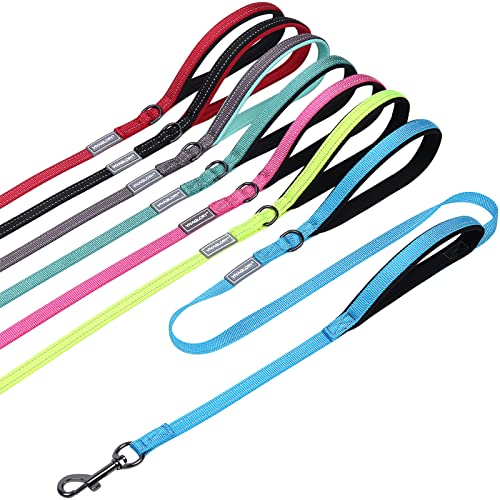 VIVAGLORY Hundeleine mit Zwei Griffen, für Training und Spazierengehen, mit Griff für den Verkehr, Hundeleine mit Griffen, reflektierende Sicherheit, Bequeme Hund Leine, 1.8 m x 1.4 cm, Blauer See VIVAGLORY Hundeleine mit Zwei Griffen, für Training und Spazierengehen, mit Griff für den Verkehr, Hundeleine mit Griffen, reflektierende Sicherheit, Bequeme Hund Leine, 1.8 m x 1.4 cm, Blauer See von VIVAGLORY