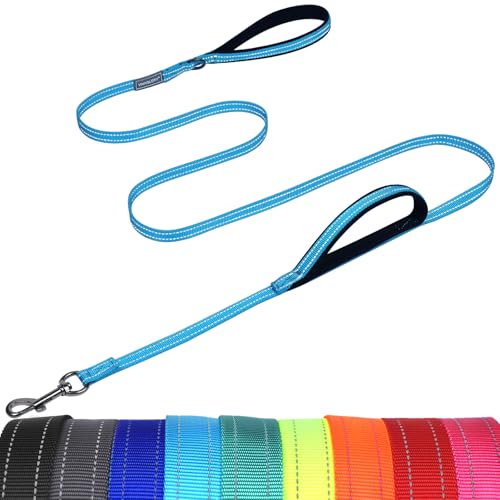 VIVAGLORY Twingrip Führleine Hund, Leine Hund Hausleine Joggingleine, Hundeleine mit 2 Griffen Doppelgriff, Gepolstert Neopren & Reflektierend, 1.8m x 1.4cm, Blauer See von VIVAGLORY