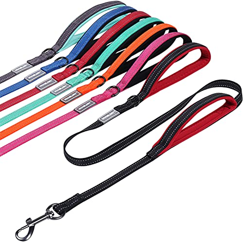 VIVAGLORY Hundeleine mit Zwei Griffen, für Training und Spazierengehen, mit Griff für den Verkehr, Hundeleine mit Griffen, reflektierende Sicherheit, Bequeme Hund Leine, 1.8 m x 1.4 cm, Schwarz VIVAGLORY Hundeleine mit Zwei Griffen, für Training und Spazierengehen, mit Griff für den Verkehr, Hundeleine mit Griffen, reflektierende Sicherheit, Bequeme Hund Leine, 1.8 m x 1.4 cm, Schwarz von VIVAGLORY