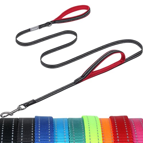 VIVAGLORY Twingrip Führleine Hund, Leine Hund Hausleine Joggingleine, Hundeleine mit 2 Griffen Doppelgriff, Gepolstert Neopren & Reflektierend, 1.8m x 1.4cm, Schwarz von VIVAGLORY