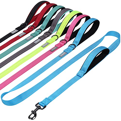 VIVAGLORY Hundeleine mit Zwei Griffen, für Training und Spazierengehen, mit Griff für den Verkehr, Hundeleine mit Griffen, reflektierende Sicherheit, Bequeme Hund Leine, 1.8 m x 2.5 cm, Blauer See VIVAGLORY Hundeleine mit Zwei Griffen, für Training und Spazierengehen, mit Griff für den Verkehr, Hundeleine mit Griffen, reflektierende Sicherheit, Bequeme Hund Leine, 1.8 m x 2.5 cm, Blauer See von VIVAGLORY