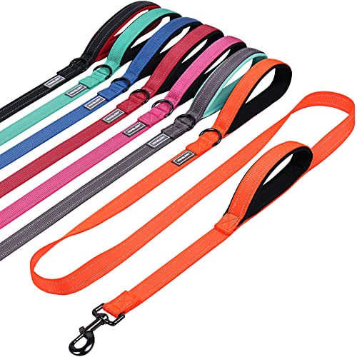 VIVAGLORY Hundeleine mit Zwei Griffen, für Training und Spazierengehen, mit Griff für den Verkehr, Hundeleine mit Griffen, reflektierende Sicherheit, Bequeme Hund Leine, 1.8 m x 2.5 cm, Orange VIVAGLORY Hundeleine mit Zwei Griffen, für Training und Spazierengehen, mit Griff für den Verkehr, Hundeleine mit Griffen, reflektierende Sicherheit, Bequeme Hund Leine, 1.8 m x 2.5 cm, Orange von VIVAGLORY
