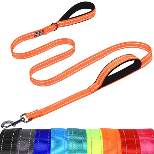 VIVAGLORY Twingrip Führleine Hund, Leine Hund Hausleine Joggingleine, Hundeleine mit 2 Griffen Doppelgriff, Gepolstert Neopren & Reflektierend, 1.8m x 2.5cm, Orange von VIVAGLORY