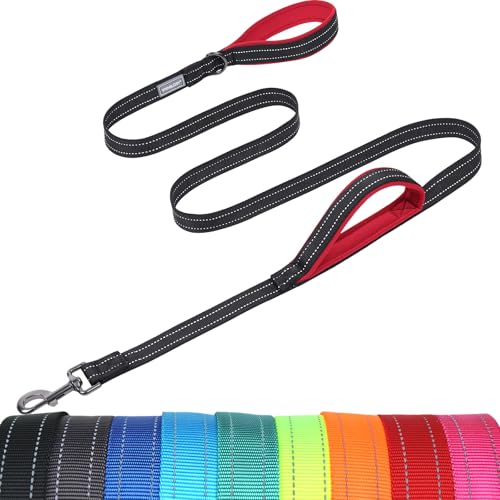VIVAGLORY Twingrip Führleine Hund, Leine Hund Hausleine Joggingleine, Hundeleine mit 2 Griffen Doppelgriff, Gepolstert Neopren & Reflektierend, 1.8m x 2.5cm, Schwarz von VIVAGLORY
