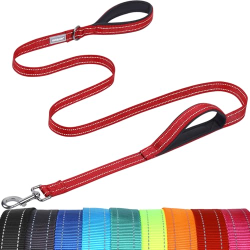 VIVAGLORY Twingrip Führleine Hund, Leine Hund Hausleine Joggingleine, Hundeleine mit 2 Griffen Doppelgriff, Gepolstert Neopren & Reflektierend, 1.2m x 2.5cm, Rot von VIVAGLORY